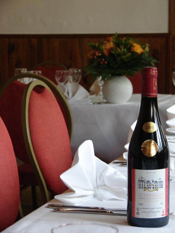 Logis Hotels Restaurants- Villa Des Bordes Cléry-Saint-André Buitenkant foto
